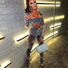 Load image into Gallery viewer, Sheer Grey Two Piece Sphinx Set