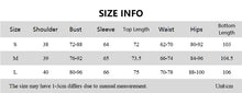 Load image into Gallery viewer, Sheer Grey Two Piece Sphinx Set