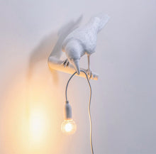 Load image into Gallery viewer, Crow Light