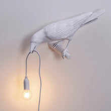 Load image into Gallery viewer, Crow Light