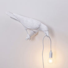 Load image into Gallery viewer, Crow Light