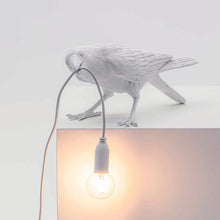 Load image into Gallery viewer, Crow Light